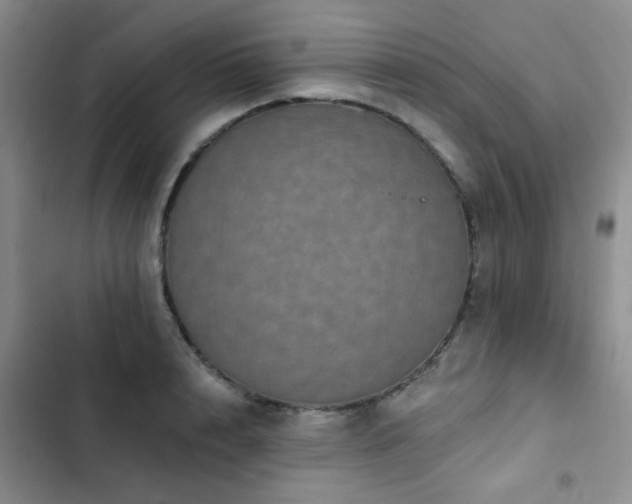 X0000102830848200808181322