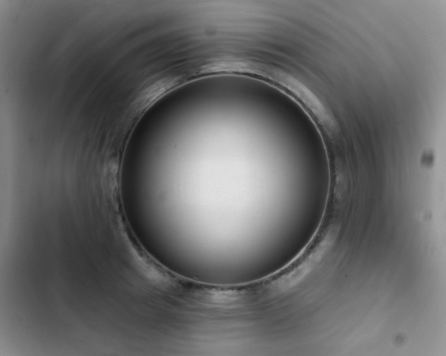 X0000102830849200808181322