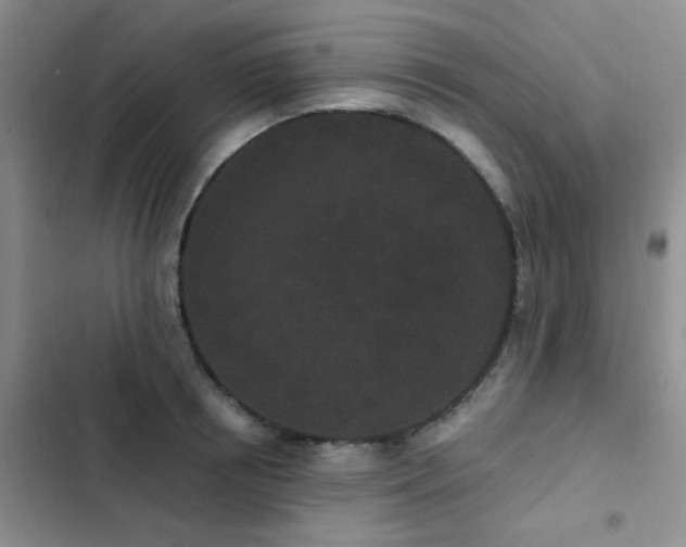 X0000102830850200808181322