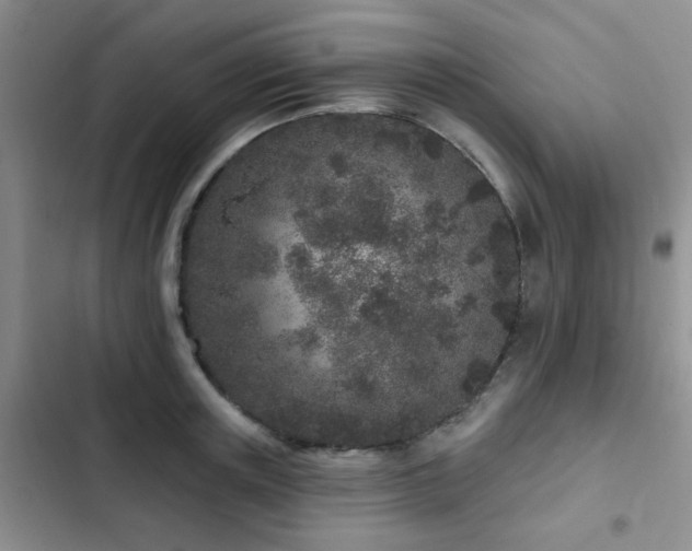 X0000102830851200808181322