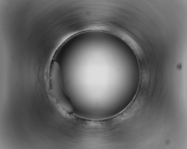 X0000102830852200808181322
