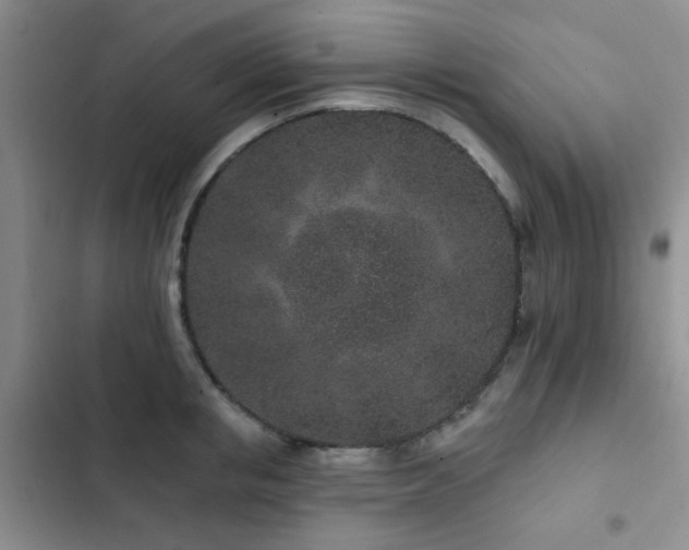 X0000102830853200808181322