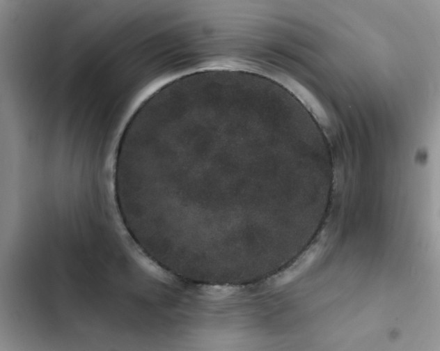 X0000102830854200808181322