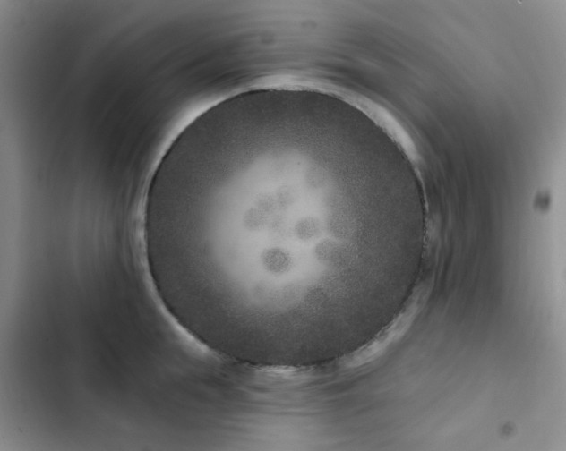 X0000102830855200808181322