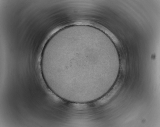 X0000102830856200808181322