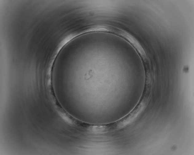 X0000102830858200808181322