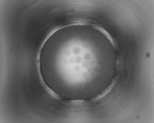 X0000102830859200808181322