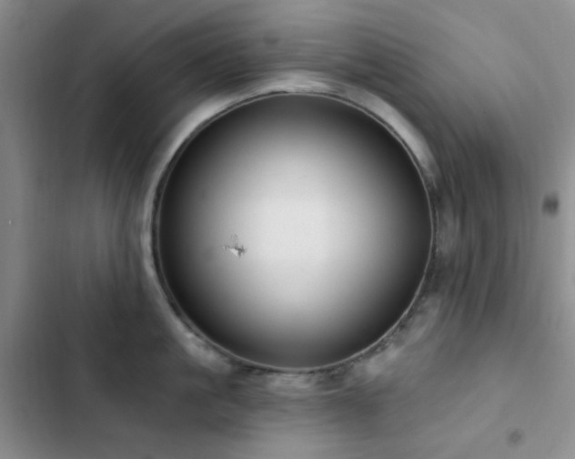 X0000102830861200808181322