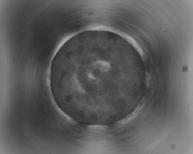 X0000102830863200808181322
