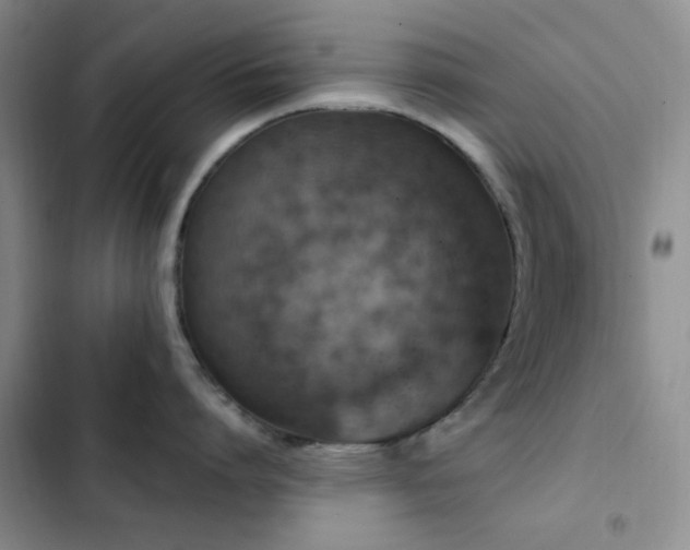 X0000102830864200808181322