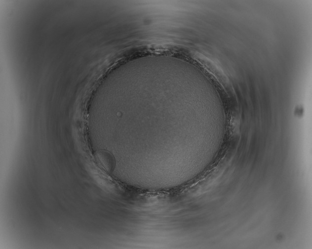X0000102830865200808181322
