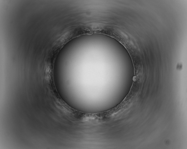 X0000102830866200808181322