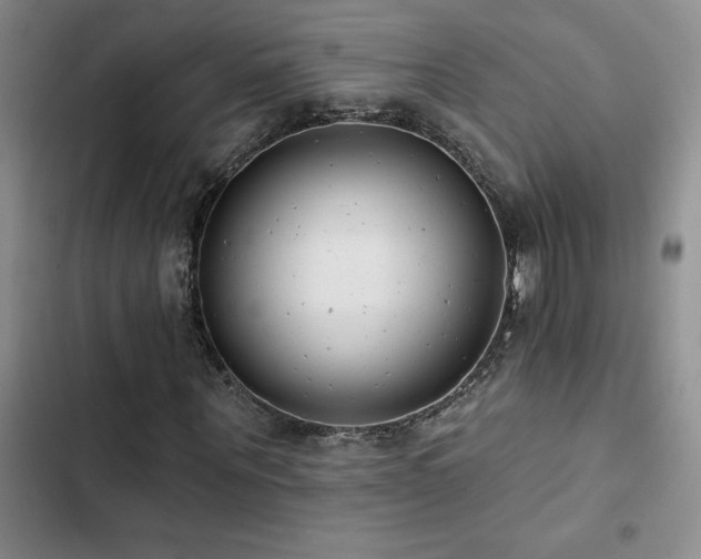 X0000102830867200808181322