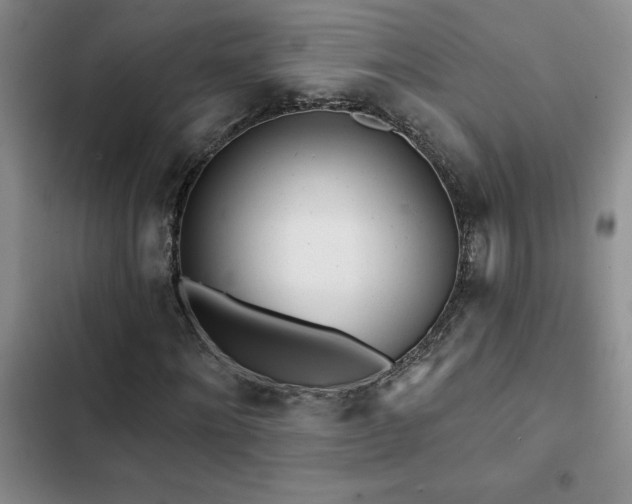 X0000102830868200808181322
