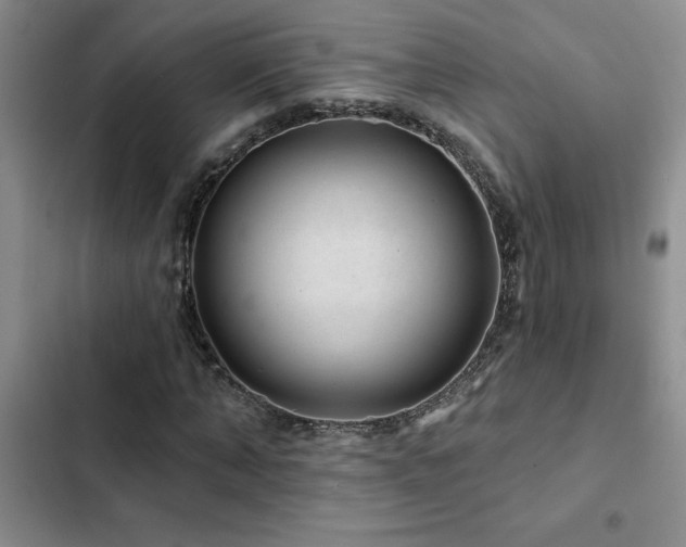 X0000102830870200808181322