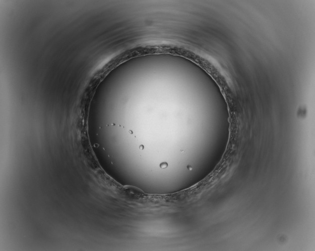 X0000102830871200808181321