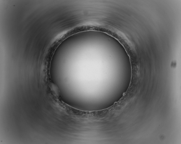 X0000102830872200808181321