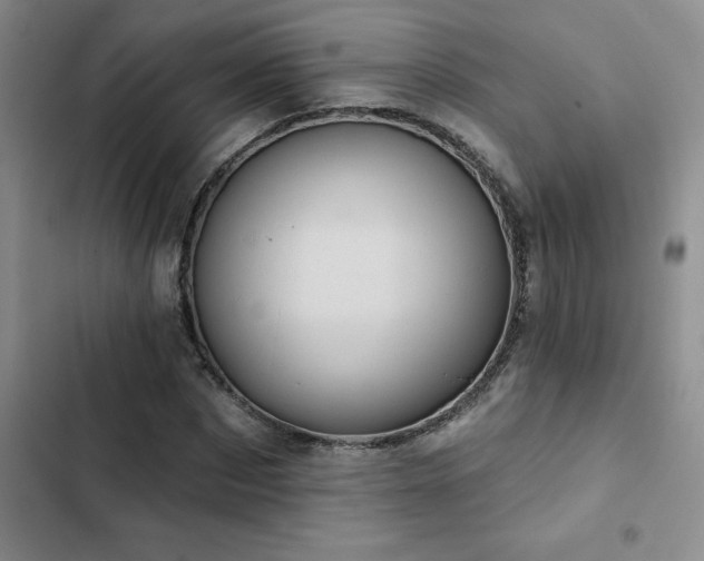X0000102830873200808181321