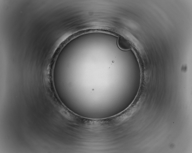 X0000102830875200808181321