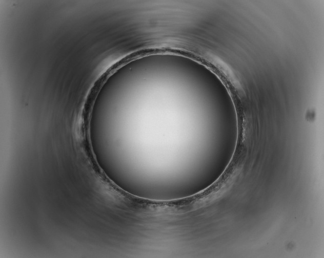 X0000102830876200808181321