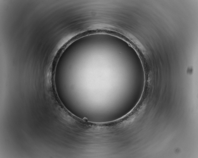 X0000102830877200808181321