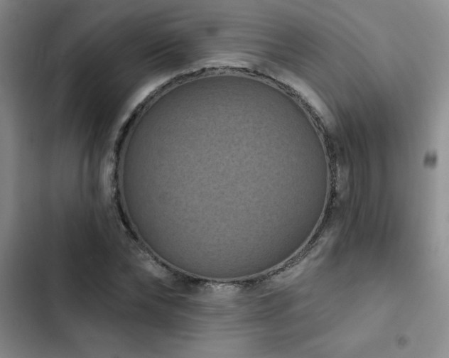 X0000102830878200808181321