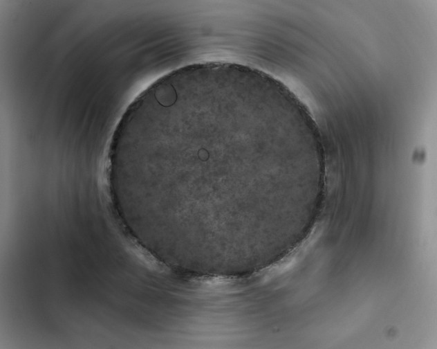 X0000102830879200808181321