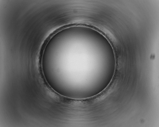 X0000102830880200808181321