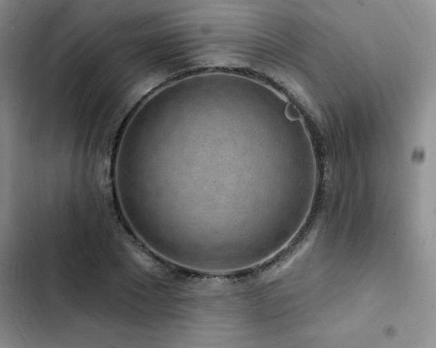 X0000102830881200808181321