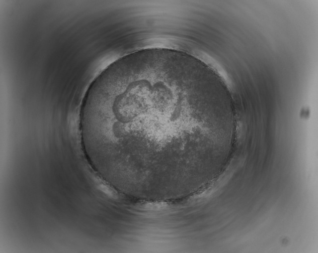 X0000102830882200808181321