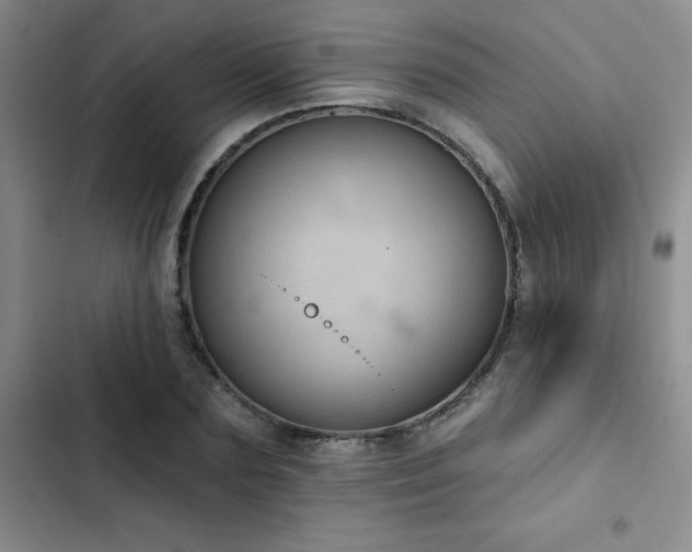 X0000102830883200808181321