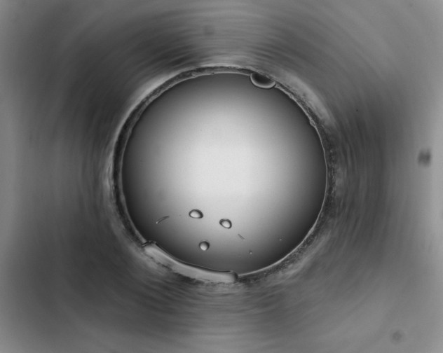 X0000102830884200808181321