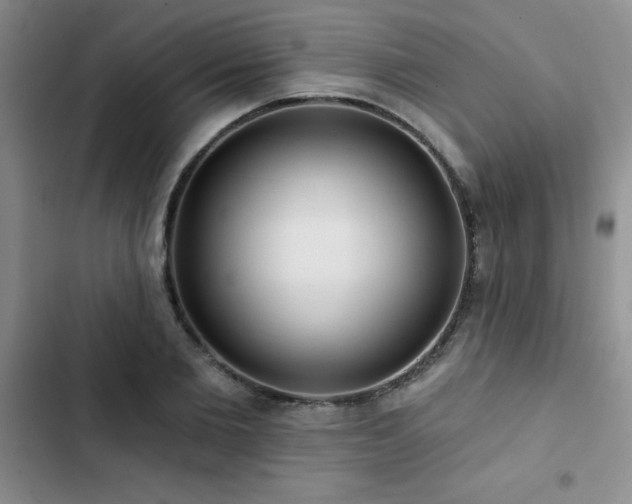 X0000102830885200808181321