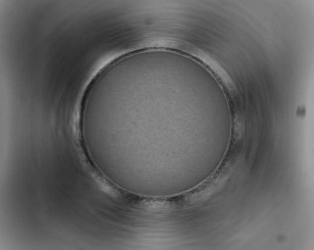 X0000102830886200808181321