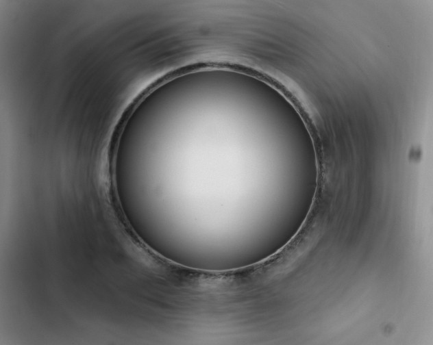 X0000102830887200808181321