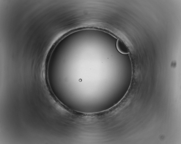 X0000102830888200808181321