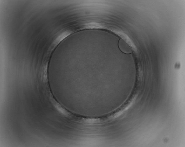 X0000102830889200808181321