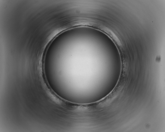 X0000102830890200808181321