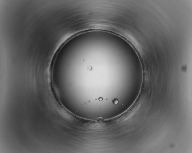 X0000102830891200808181321