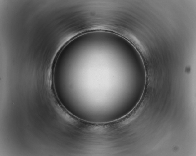 X0000102830892200808181321