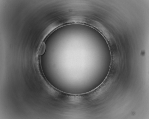 X0000102830893200808181321