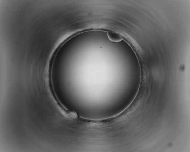 X0000102830894200808181321