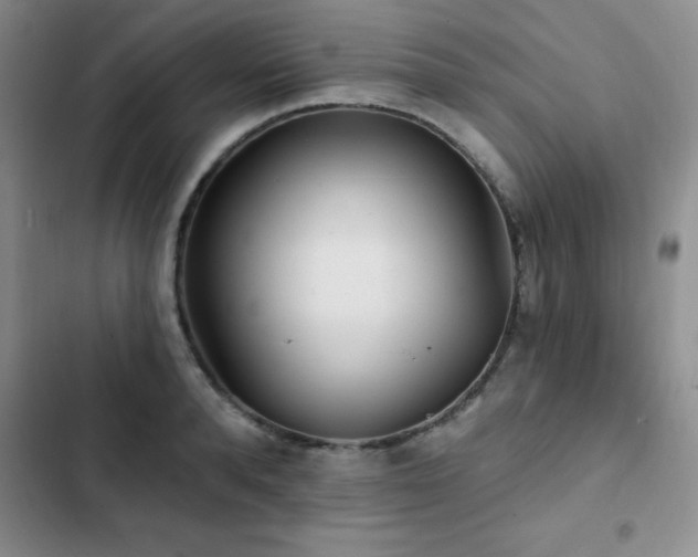 X0000102830896200808181321