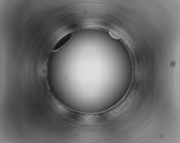 X0000102830897200808181321