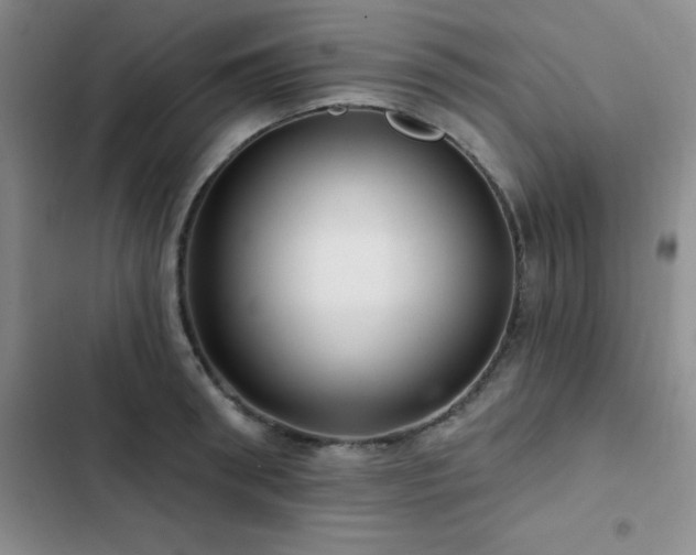 X0000102830898200808181321