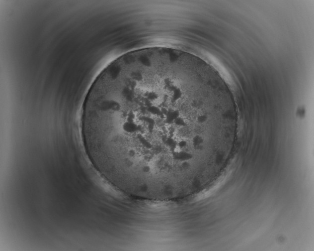 X0000102830899200808181321