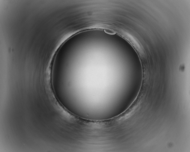 X0000102830900200808181321