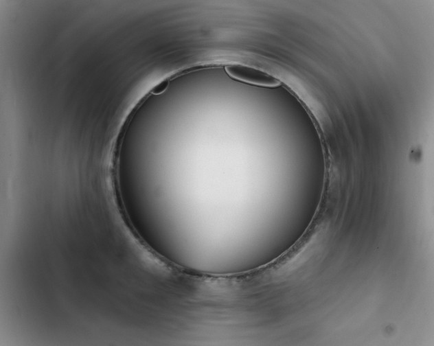 X0000102830901200808181321