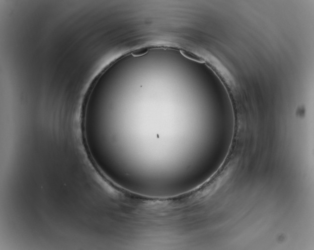 X0000102830902200808181321