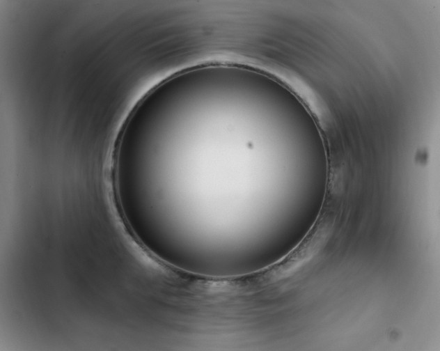 X0000102830903200808181321